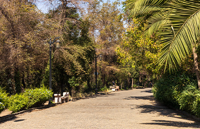 9-Metre Wide Internal Roads